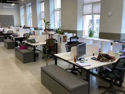 algimed-