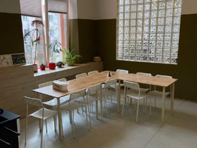 algimed-